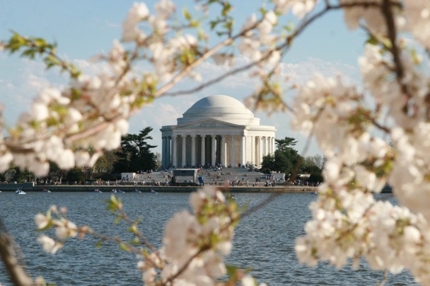 Jefferson Memorial no Cherry Blossoms