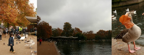 Hyde Park - Lago
