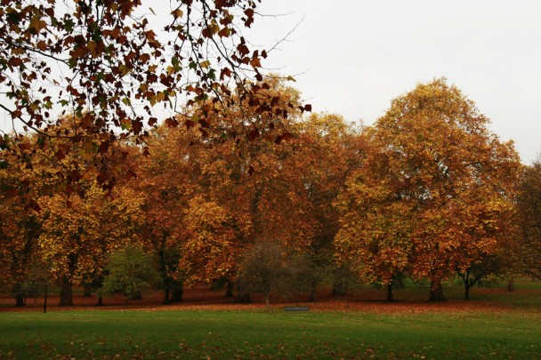 Green Park