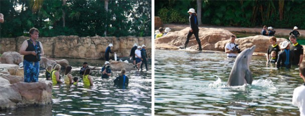 Lagoa dos Golfinhos