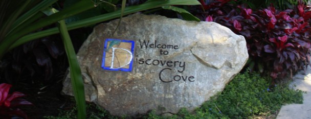 Bem vindos ao Discovery Cove