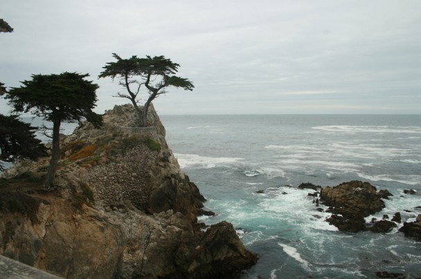 Vista do Lone Cypress