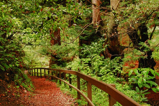 Entrada do Pffeifer Burns State Park