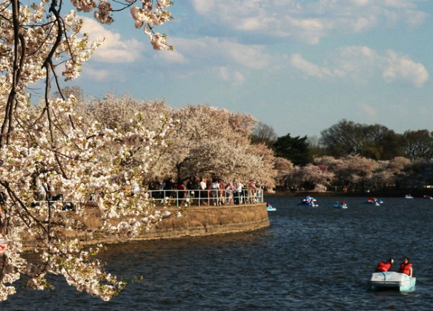 Em volta do Tidal Basin