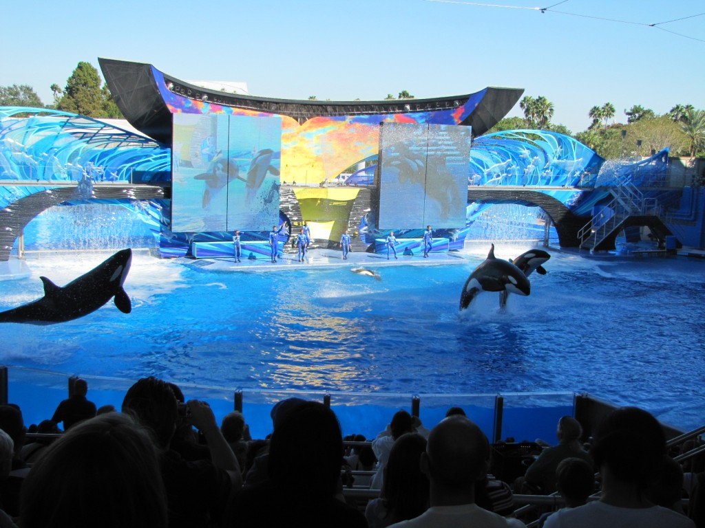 Novo Show da Shamu no Sea World Orlando