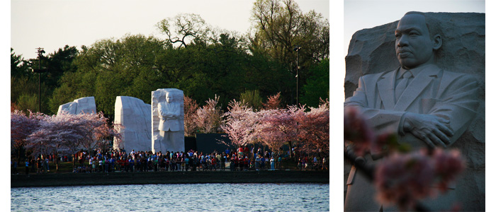 Martin Luther King durante Cherry Blossoms