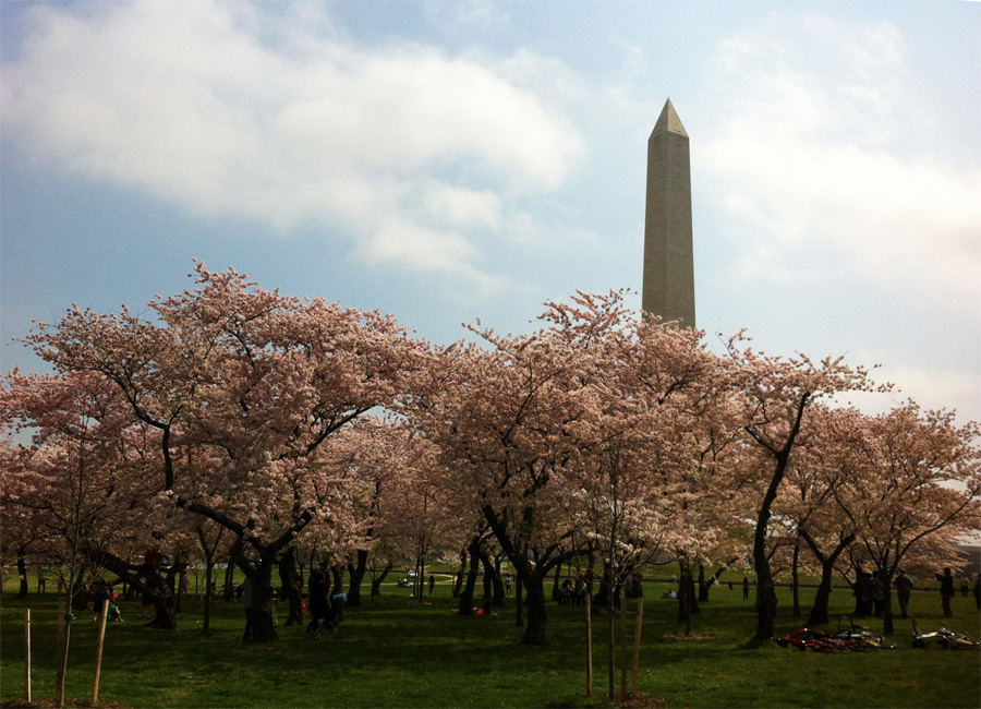 Washington Monument