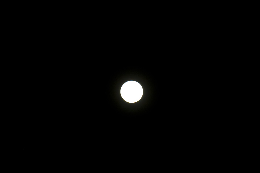 Lua Cheia 
