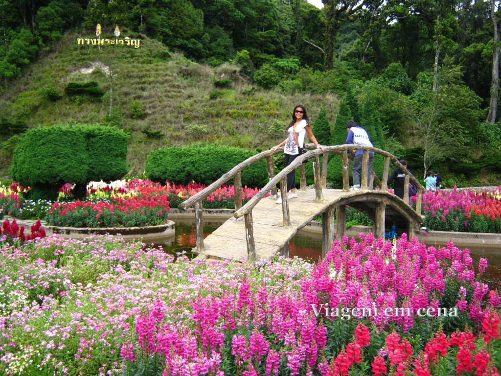 Doi Inthanon