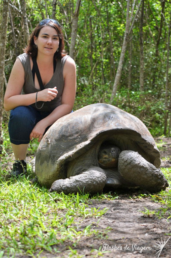 A imensa tartaruga que deu nome a regiao, em seu habitat na Ilha Floreana