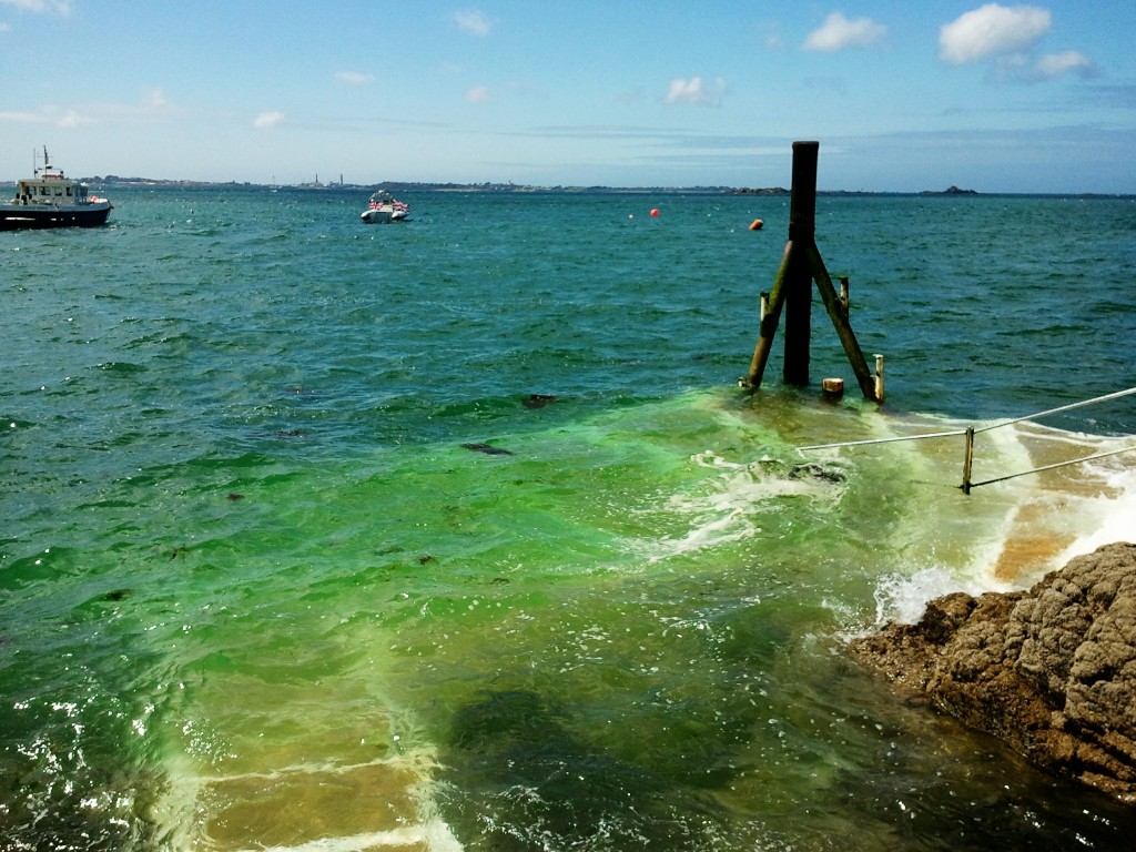 guernsey channel islands