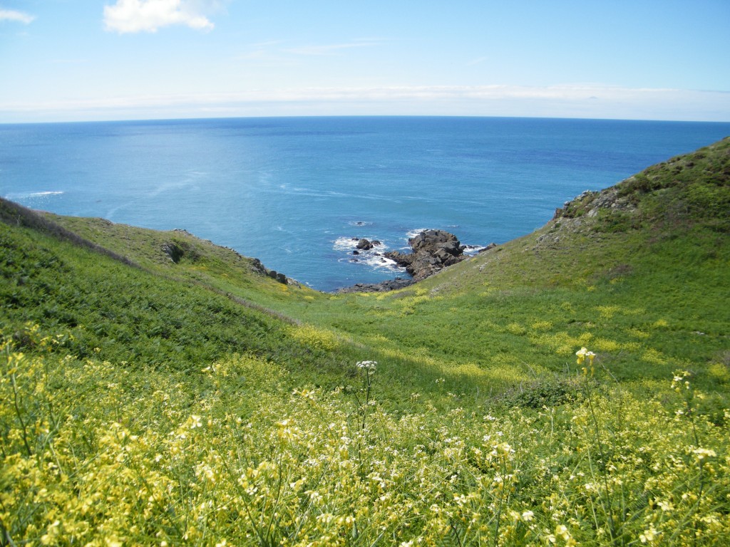 guernsey channel islands