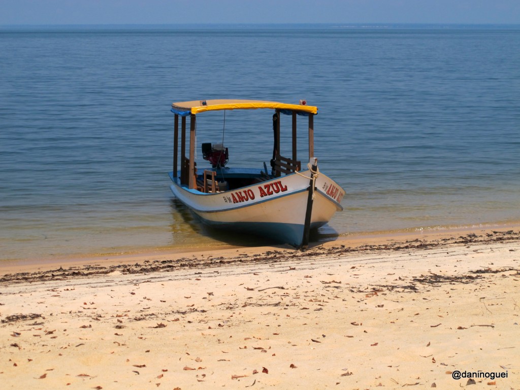 1. Caribe Amazonico