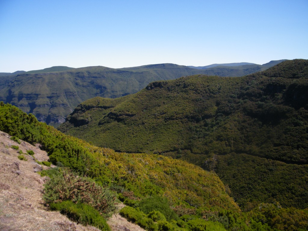 madeira - paúl da serra