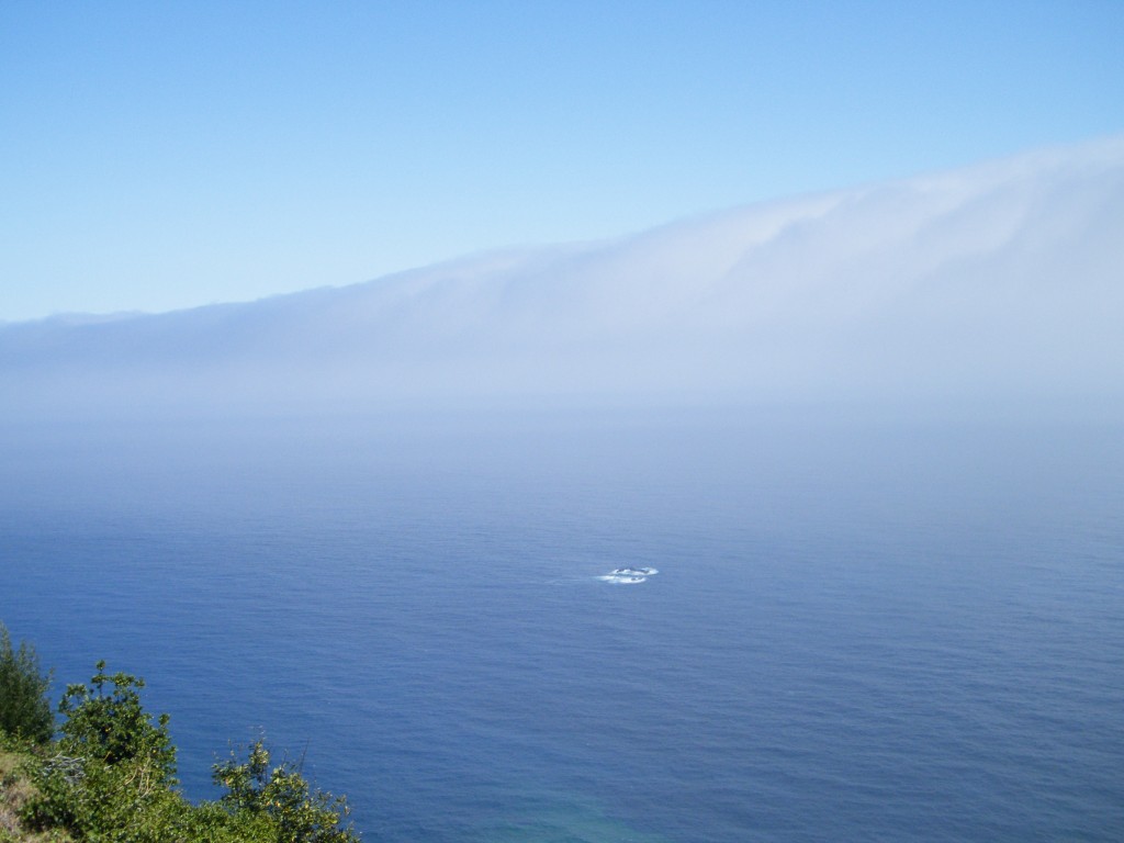 madeira - porto moniz