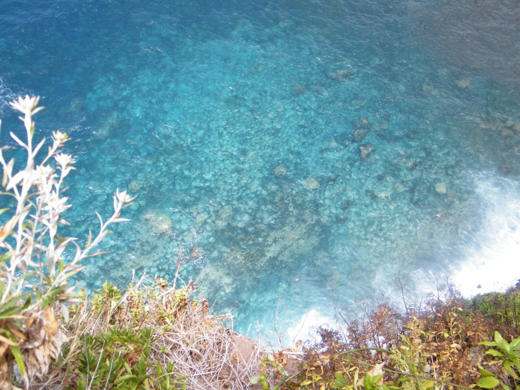 madeira