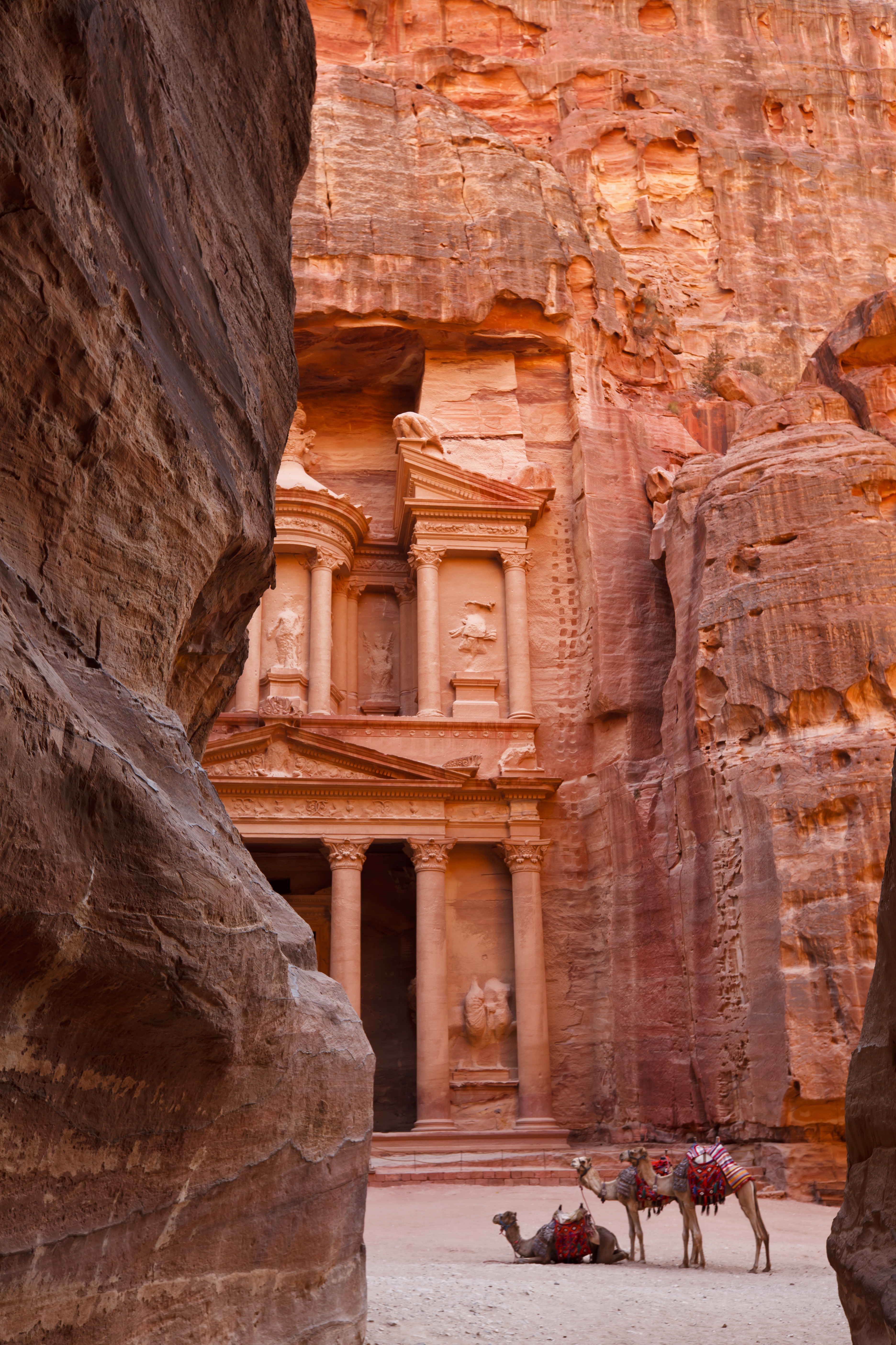 View of camels resting in front of the Treasury, known locally as Al Khazneh, as seen from the main entrance to the ancient city, known locally as Al-Siq, located in the UNESCO World Heritage Site of Petra, or Rose-Red city, which was the 6th century capital city of the Nabataeans.
