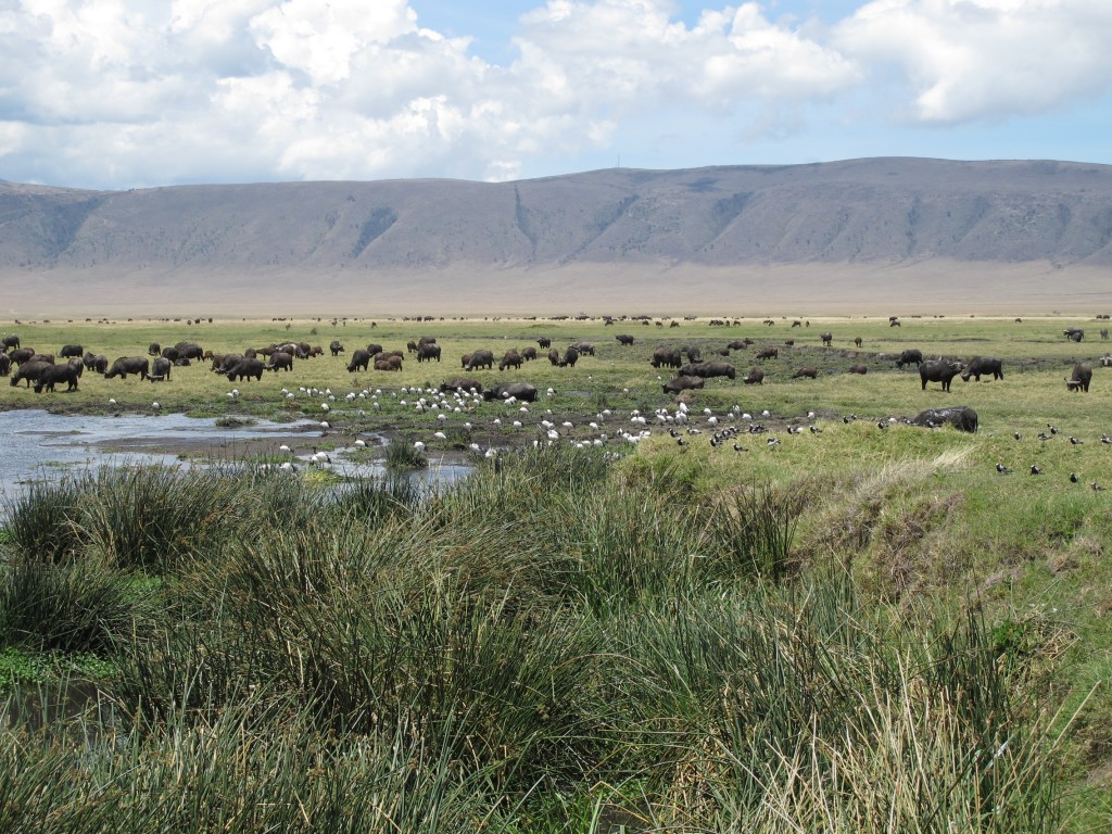 InteriorCrateraNgorongoro