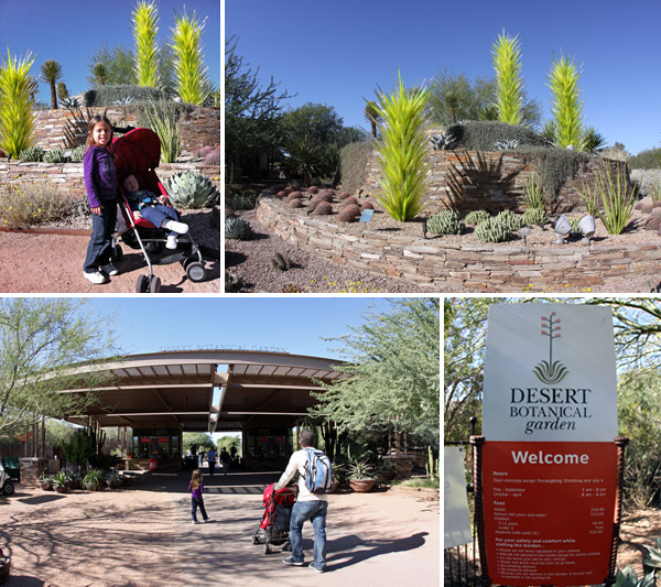 chegando no desert botanical gardens