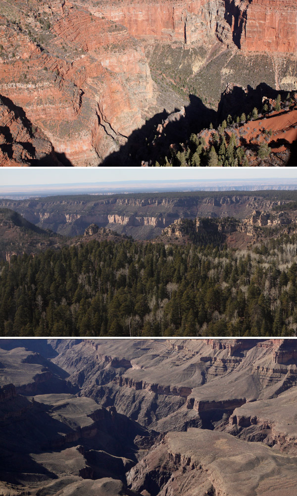 north rim vishnu schist