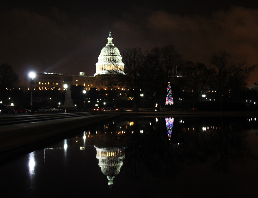 Reflexo do Capitolio e Arvore