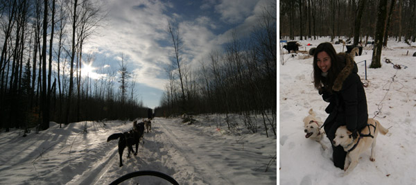 Dogsledding na Upper Peninsula de Michigan