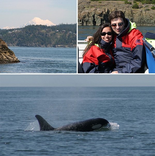 Passeio de barco para ver as baleias Orca em Puget Sound