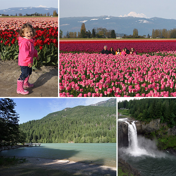 Tulipas em Skagit Valley, Diablo Lake e Snoqualmie Falls: passeios lindos nos arredores