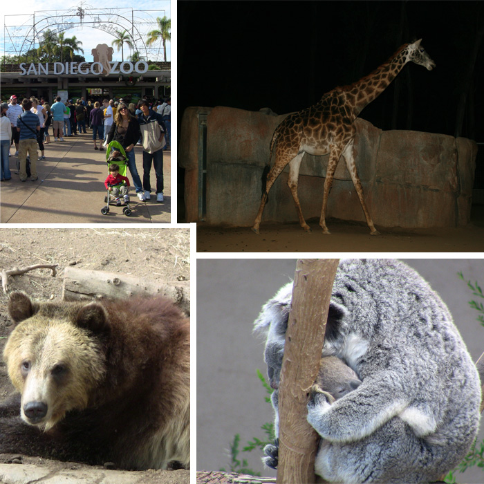 sandiegozoo