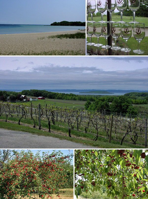 Praia, vinícolas e cerejas em Traverse City, Michigan