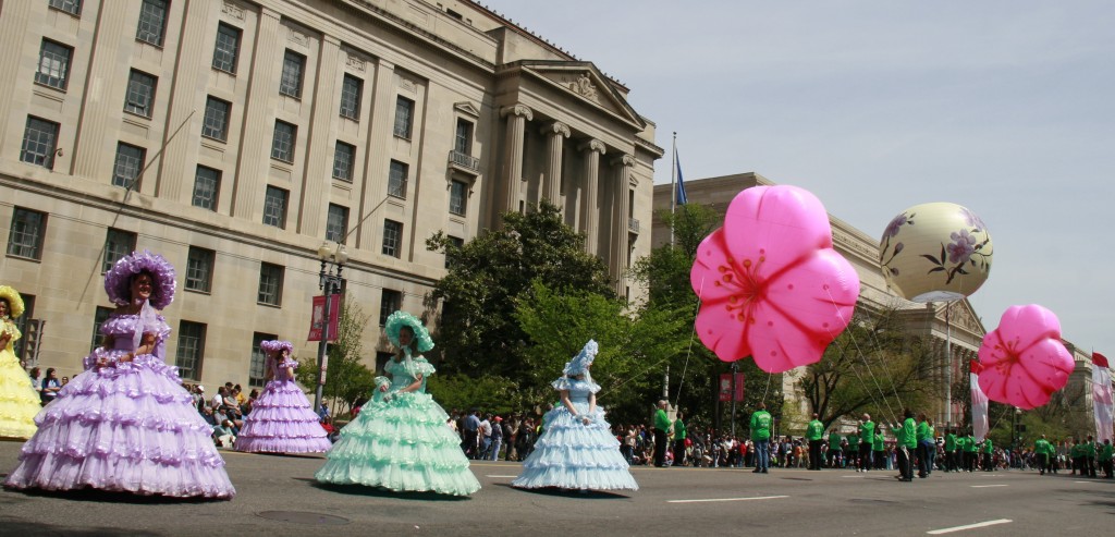 cherryblossomsparade