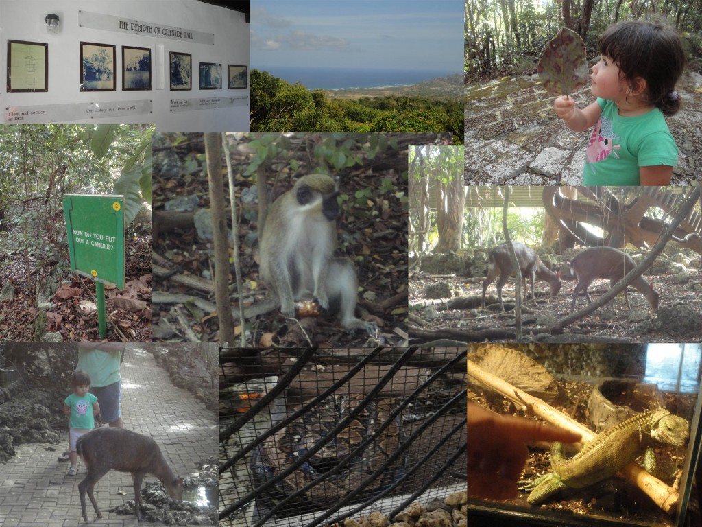 Barbados Wildlife Reserve