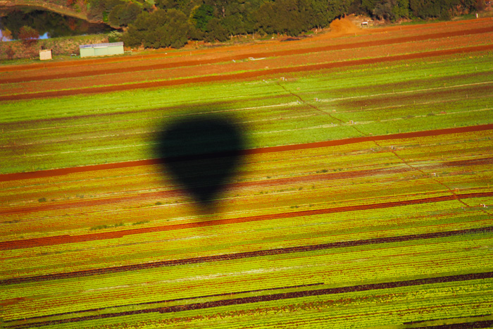 Sombra do balão em uma das fazendas 