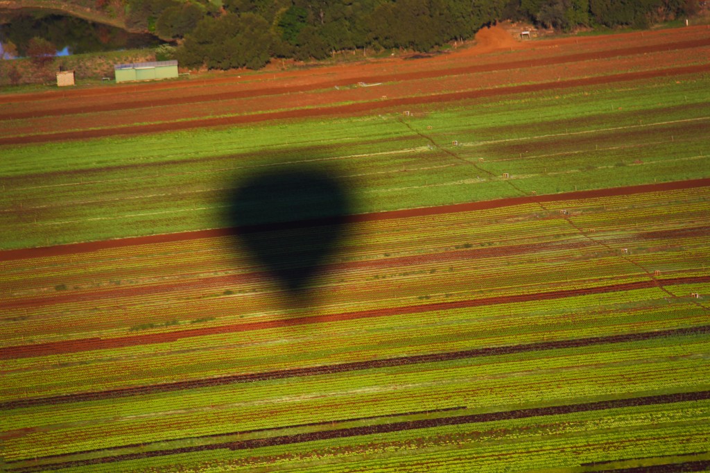 Do alto do balão