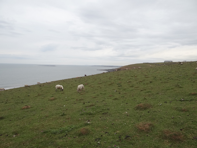 glamorgan heritage coast