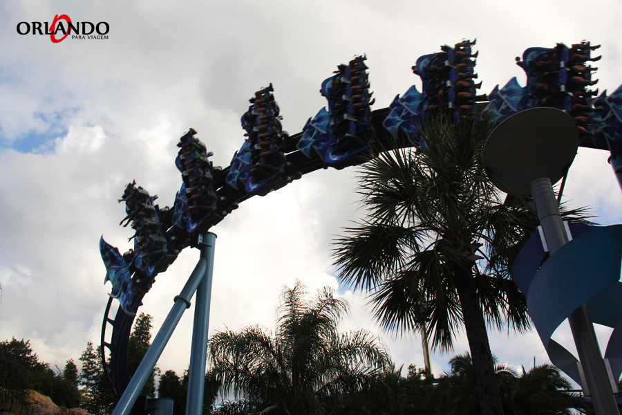 seaworld_manta