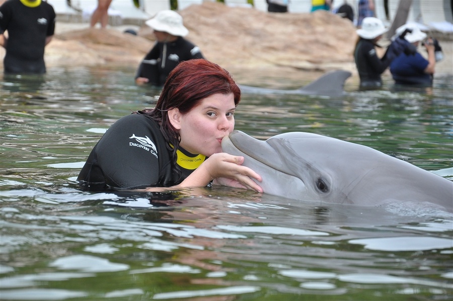 Nadando com golfinhos