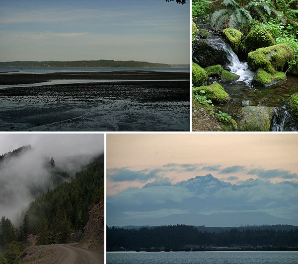 A Olympic Peninsula é enorme e tem paisagens bem variadas