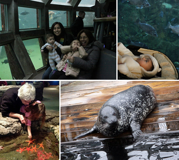 Nós no Seattle Aquarium, as crianças amaram