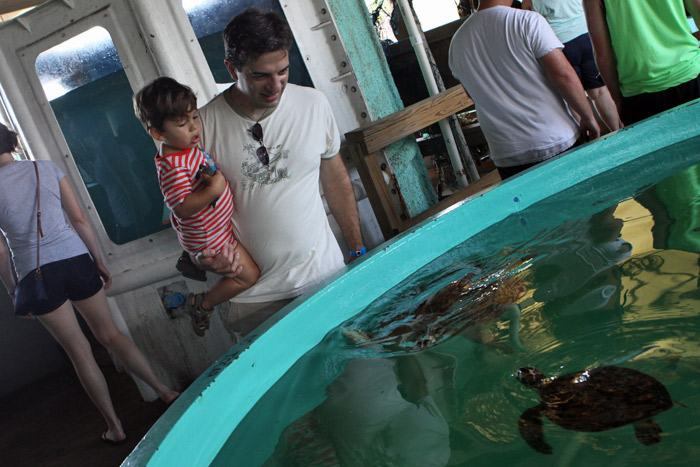 Gabe e Eric olhando as tartarugas no Sea Turtle Inc