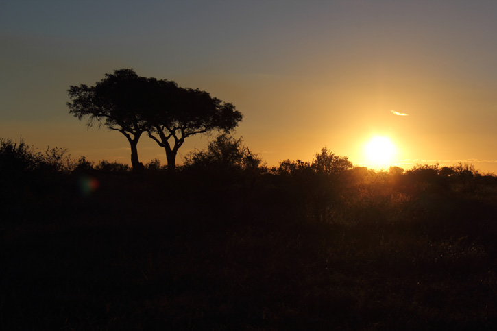 Por do Sol na Savana