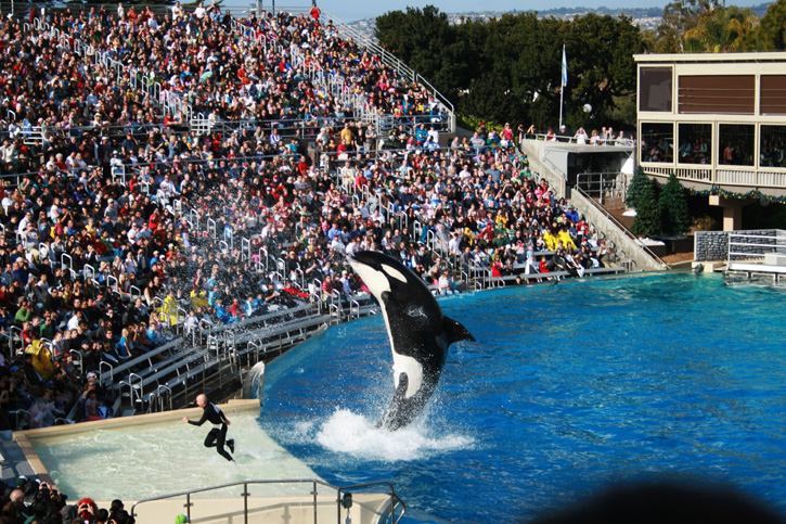 seaworld