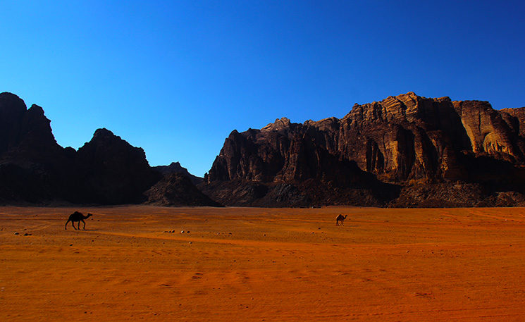 wadirum7a