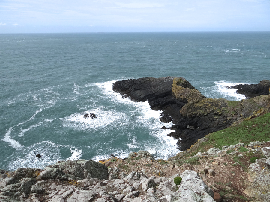 Skomer Pais de Gales-AdV (10)