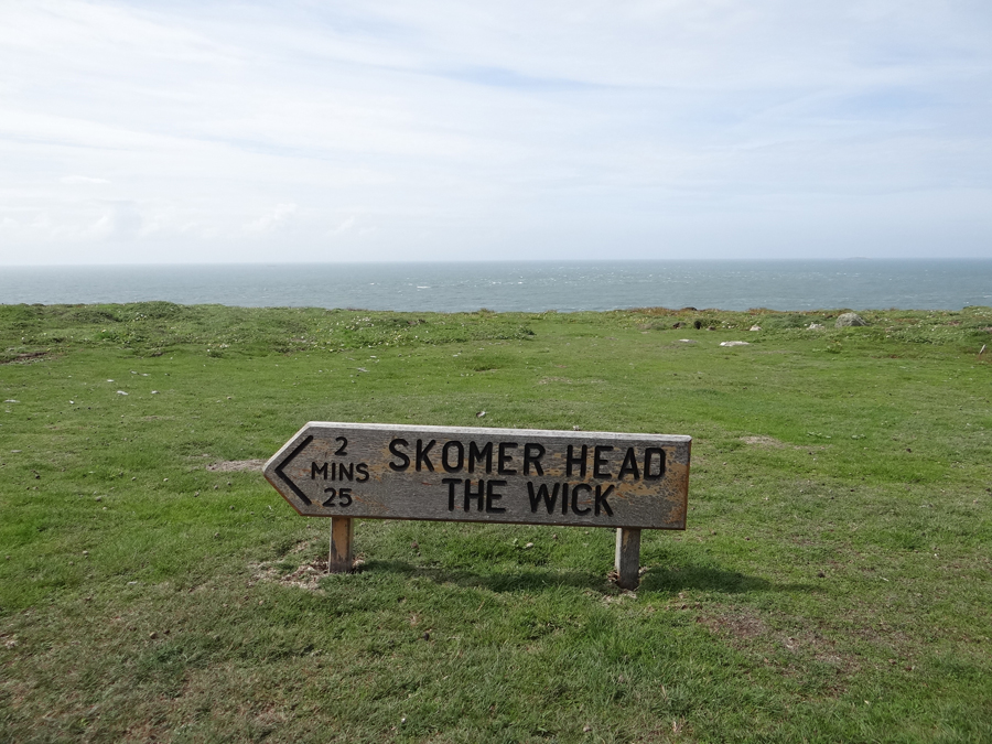 Skomer Pais de Gales-AdV (11)