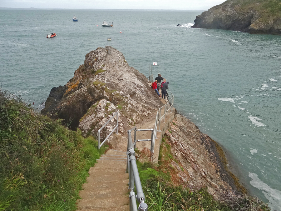 Skomer Pais de Gales-AdV (4)