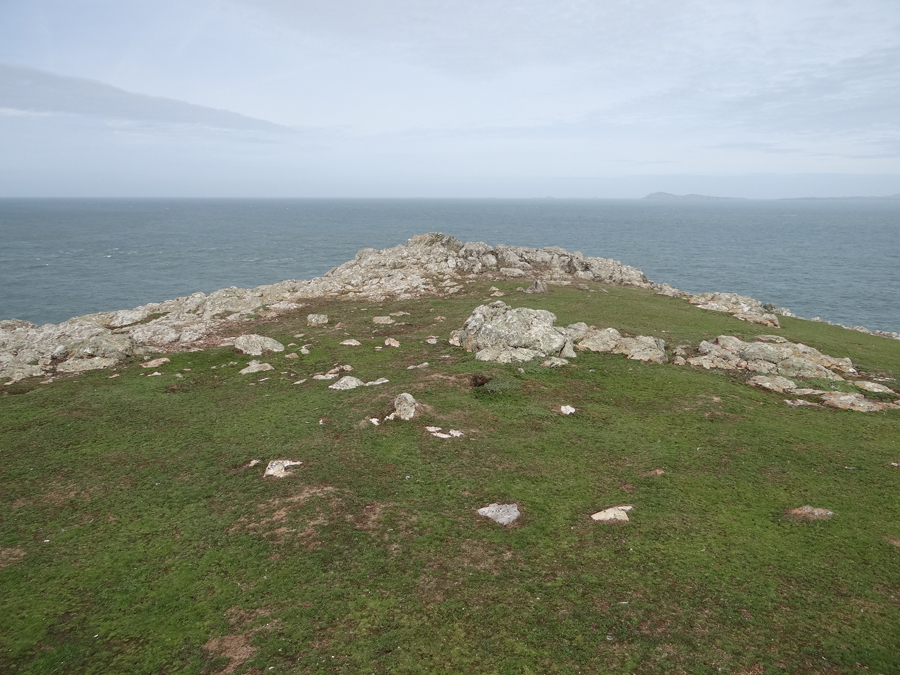 Skomer Pais de Gales-AdV (7)