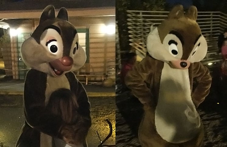 Chip n' Dale Campfire: fogueira e música com o Tico e Teco