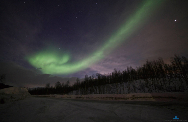 Aurora Boreal