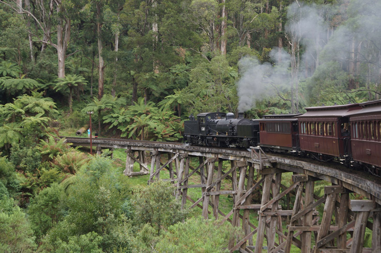 Melbourne-Puffing-Billy-63